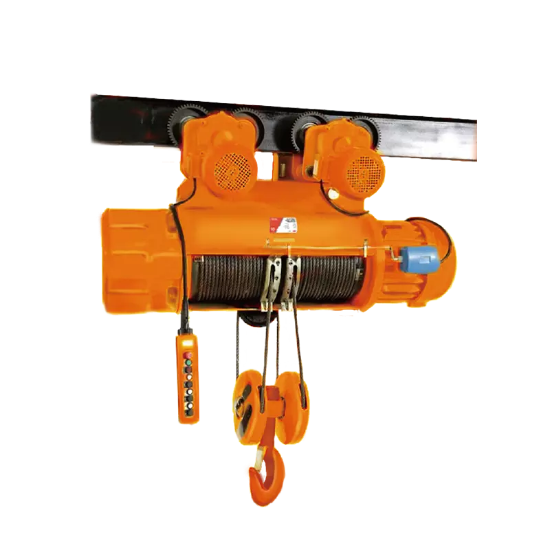 ELECTRIC WIRE ROPE HOIST Manufacturers